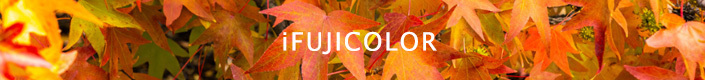 01_fujifilm_03.gif