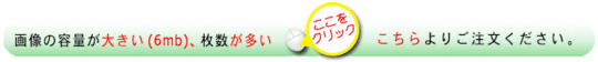 20_mailorder_02-02.gif